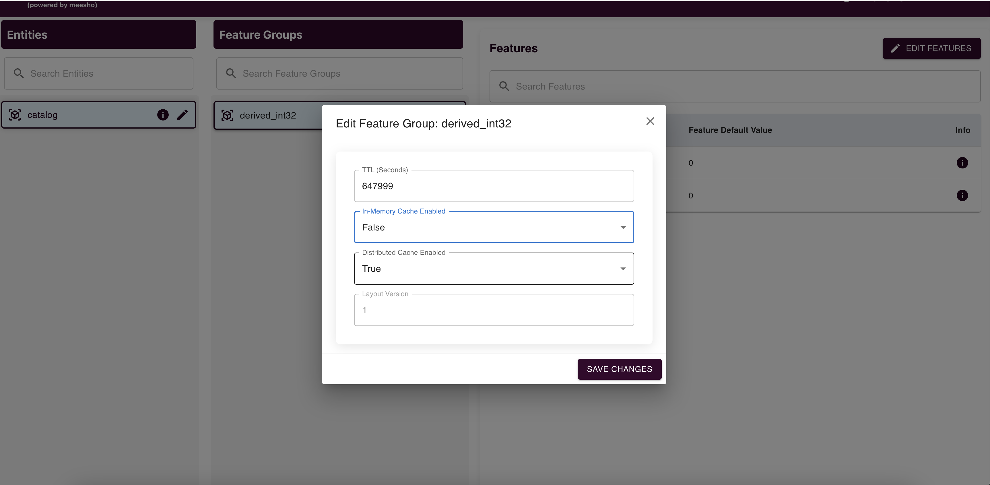 Edit Feature Group