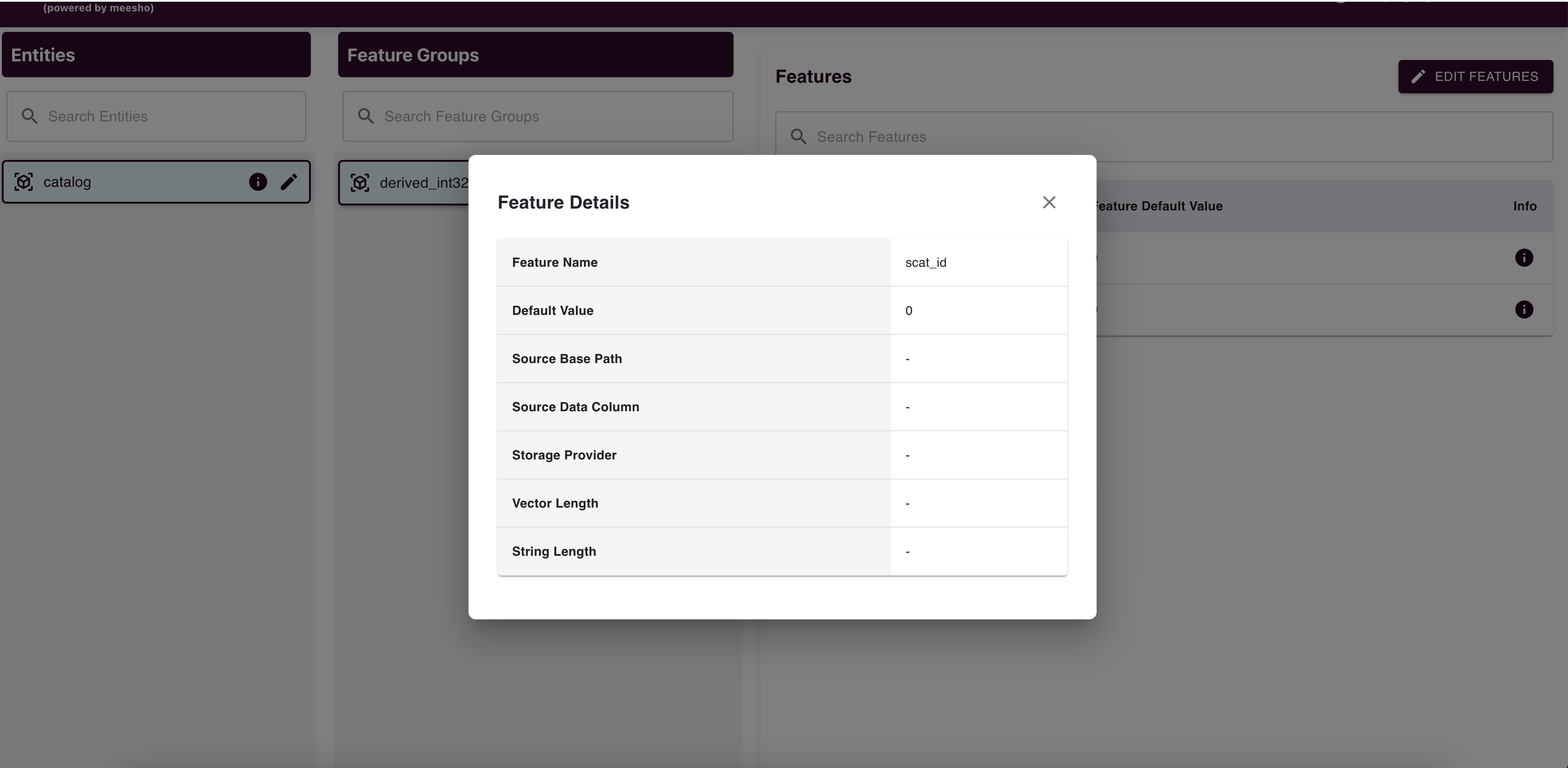 Feature Details