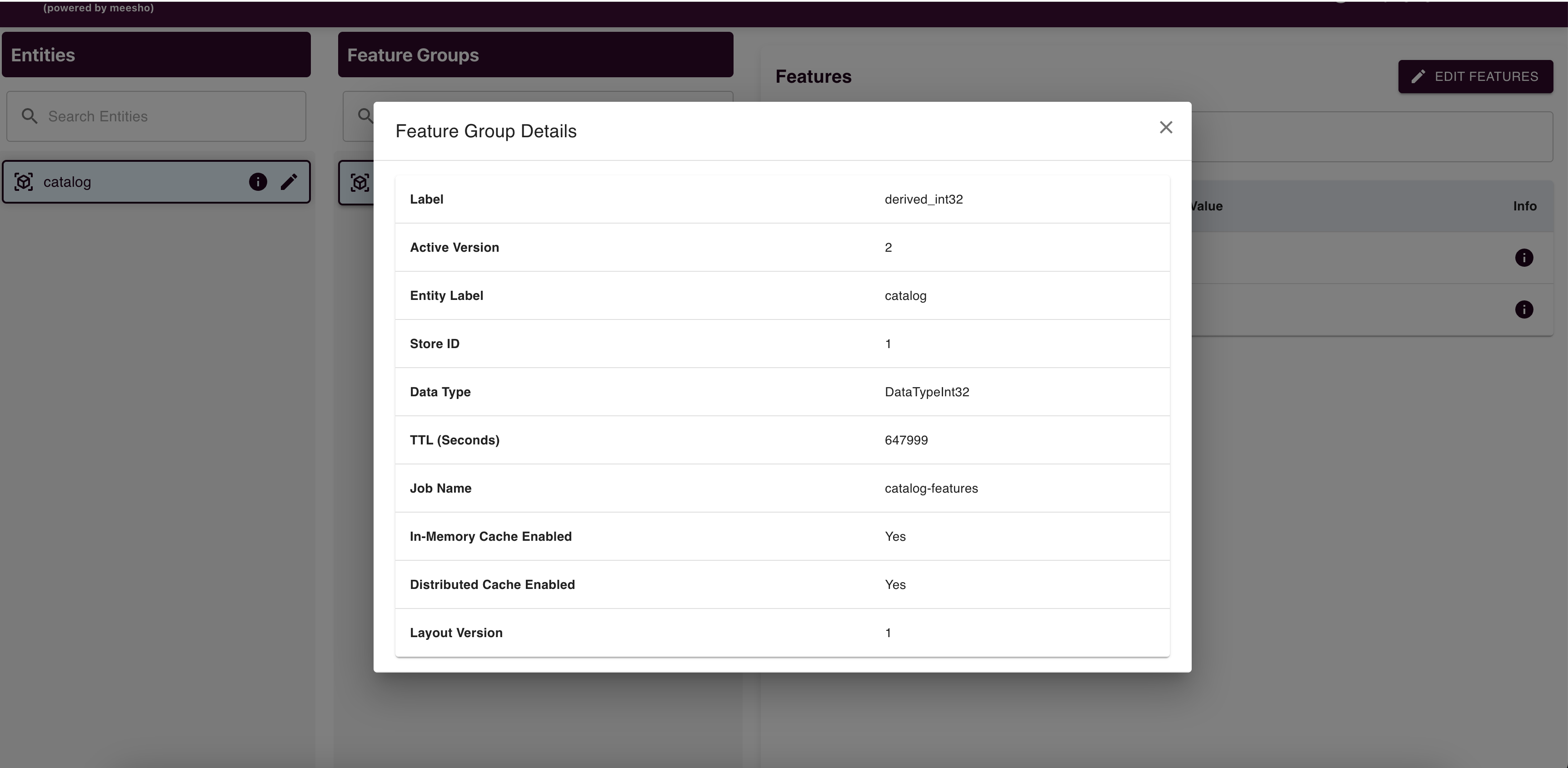Feature Group Details
